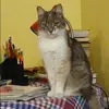 Отзыв от Анфиса Горбачева